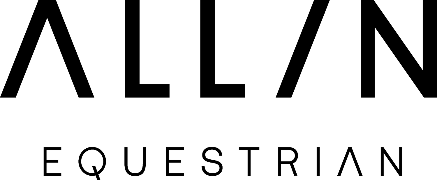 All in Equestrian AIE AB logotyp