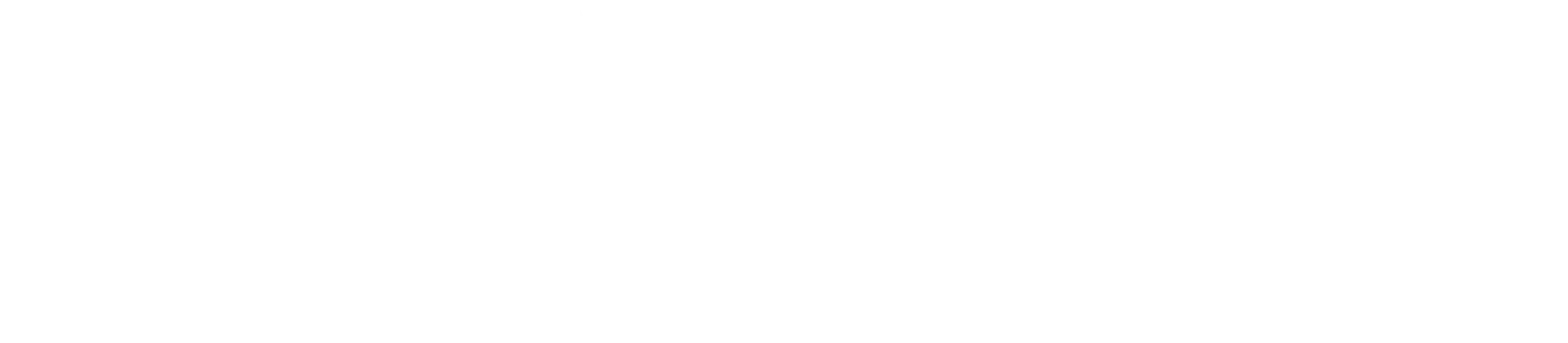 Primus-Silva Sweden AB logotyp