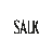Aktiebolaget Salktennis logotyp