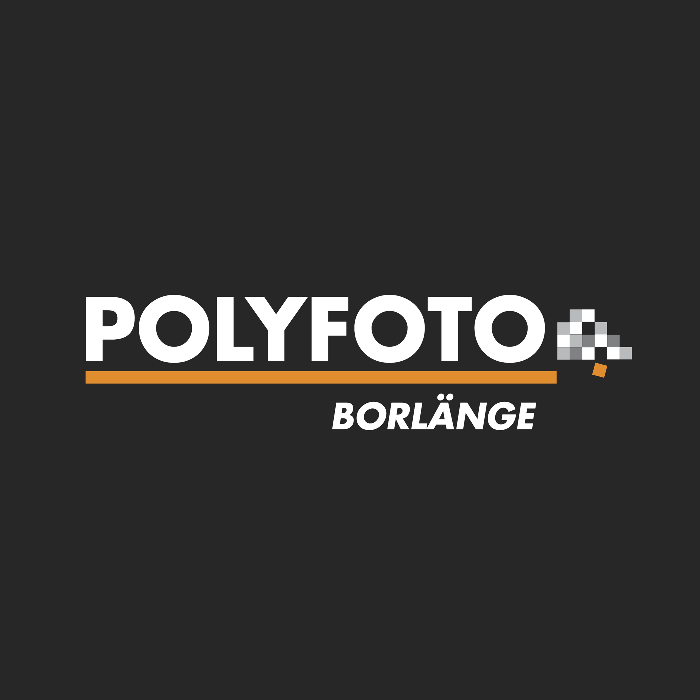 Polyfoto i Borlänge Aktiebolag logotyp