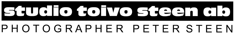 Studio Toivo Steen Aktiebolag logotyp