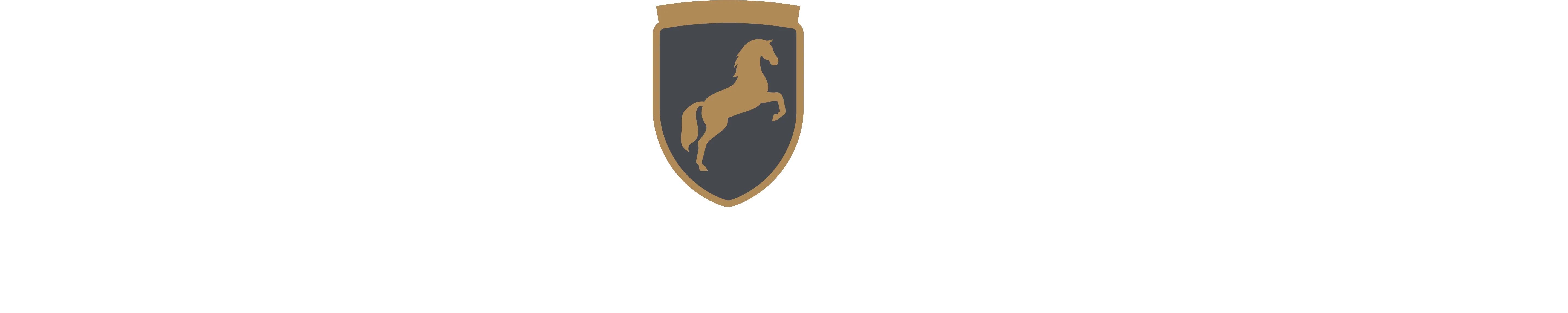 EquiSafe AB logotyp