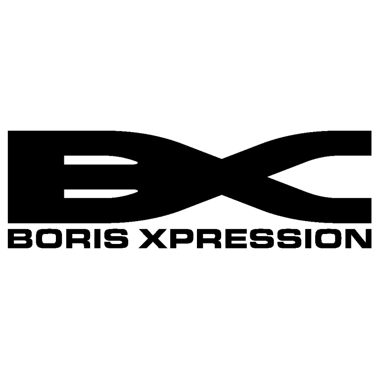 BorisXpression AB logotyp