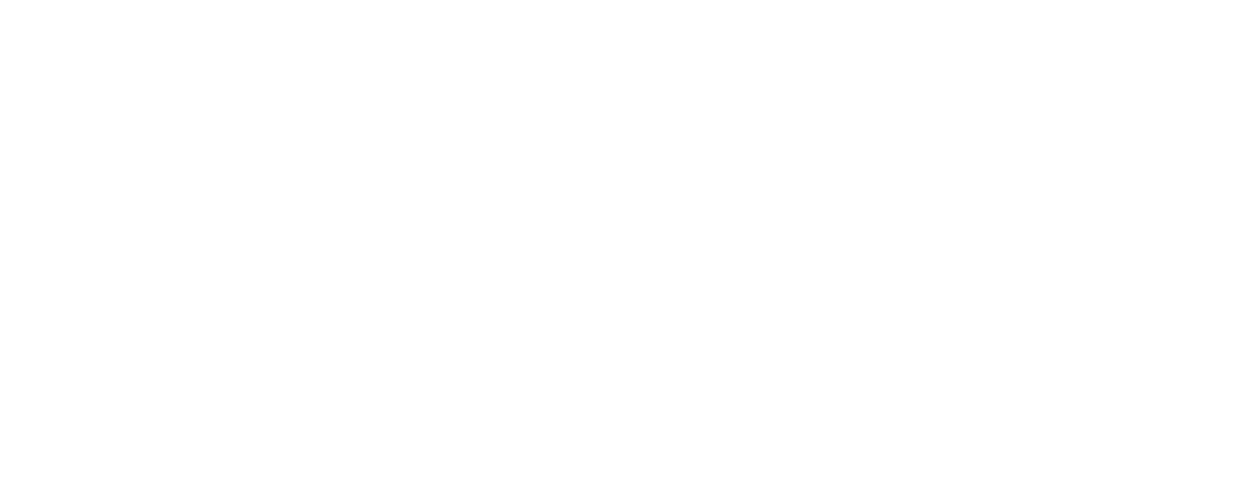 Ronny Johanssons Transporter AB logotyp