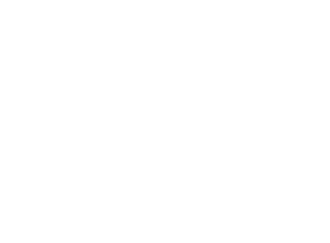 Fransson & Neij Aktiebolag logotyp