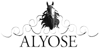 Alyose Aktiebolag logotyp