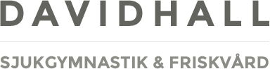 Davidshall Sjukgymnastik och Friskvård Aktiebolag logotyp