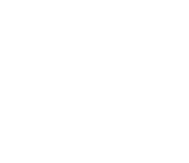 Fix Cleaning Service Aktiebolag logotyp