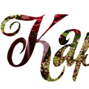 Kaprifol Blomsterhandel Aktiebolag logotyp