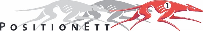 Positionett AB logotyp