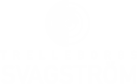 Trelleborgs Svagströmsservice Aktiebolag logotyp