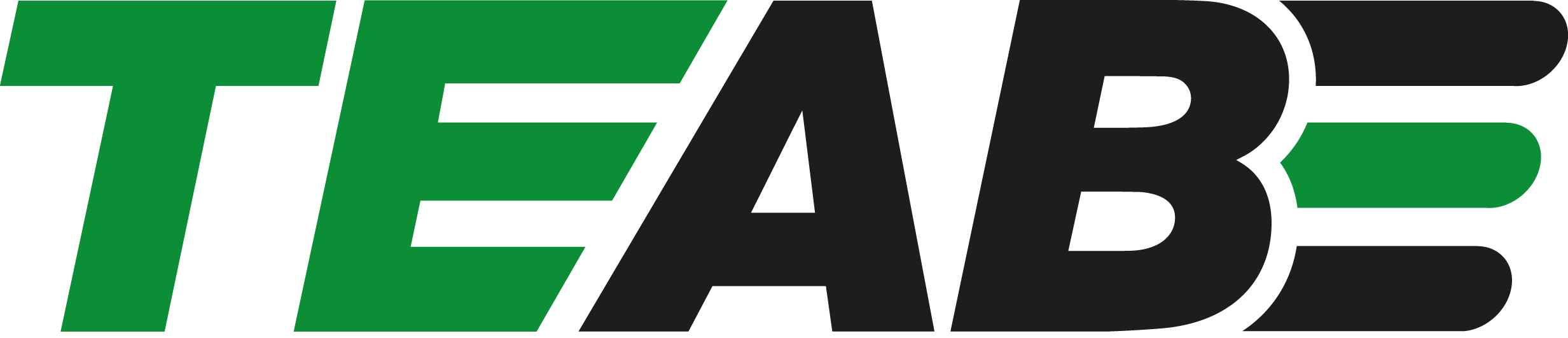 Total Entreprenad i Motala AB logotyp
