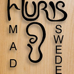 AURIS AB logotyp