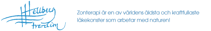 Team Hellberg Zonterapi AB logotyp