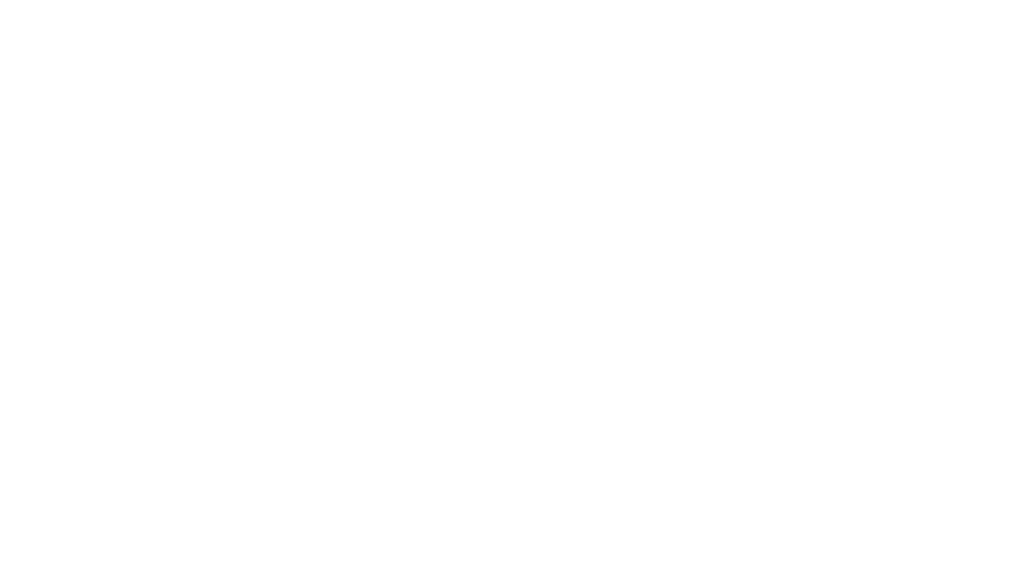 Binary Brains AB logotyp