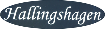 AB Hallingshagen logotyp