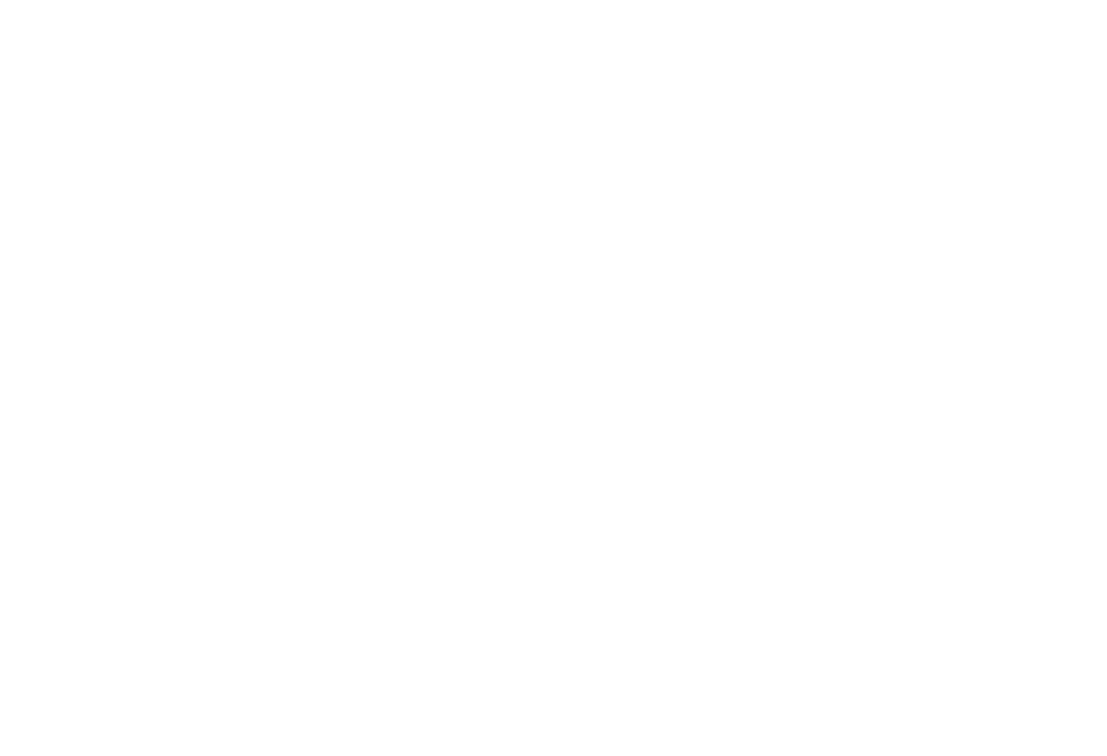 Nissastadens Revision AB logotyp