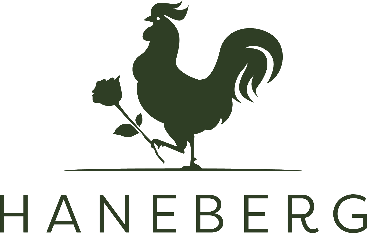 Haneberg Säteri AB logotyp