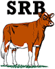 SRB - FÖRENINGENS SERVICEAktiebolag logotyp