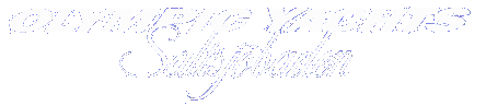 OYAB Aktiebolag logotyp