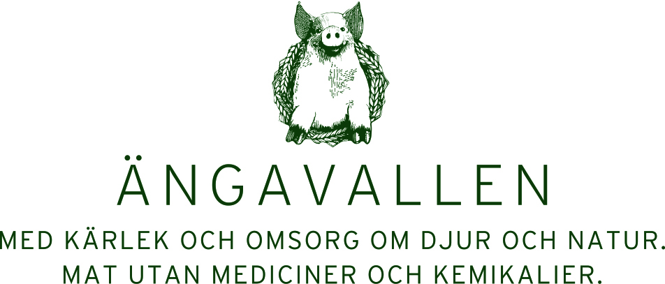 Ängavallen Aktiebolag logotyp