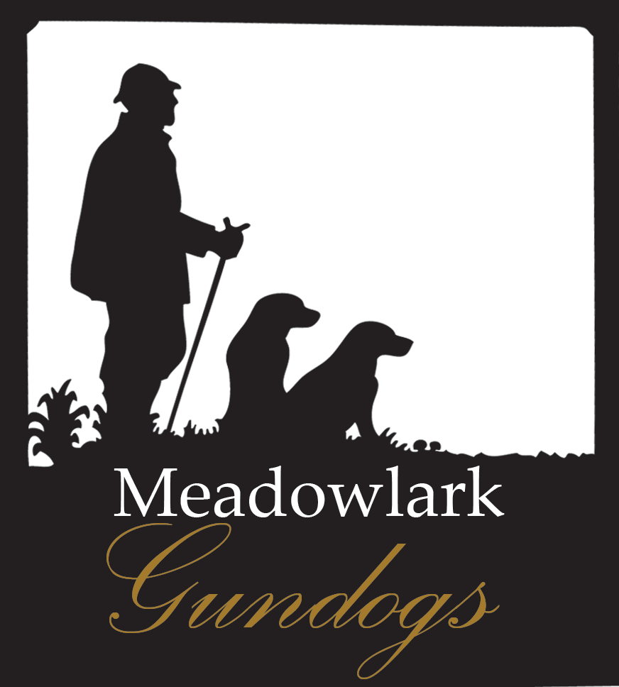 Meadowlark Gundogs AB logotyp