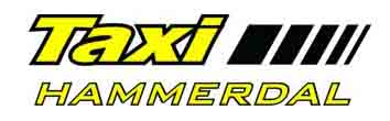 Taxi Hammerdal Aktiebolag logotyp