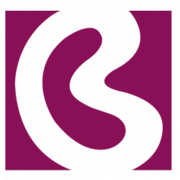 Botkyrka Stadsnät AB logotyp