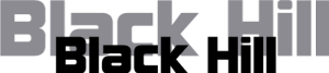 Westcoast of Sweden International Aktiebolag logotyp