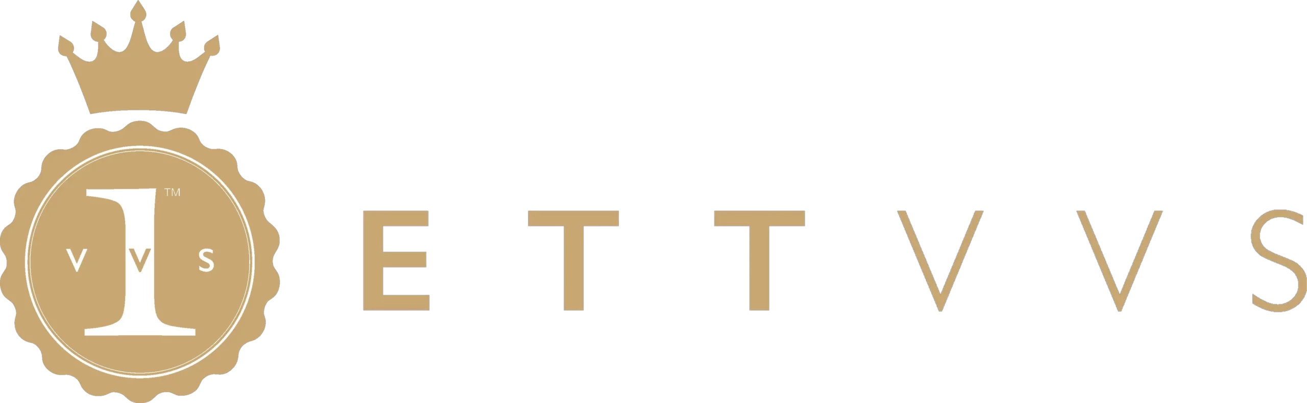 Ett VVS AB logotyp