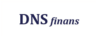 DNS Företagstjänst Aktiebolag logotyp