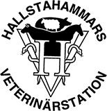 Hallstahammar Veterinärstation Aktiebolag logotyp