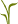 Törnkvists Eftr. Begravningsbyrå AB logotyp