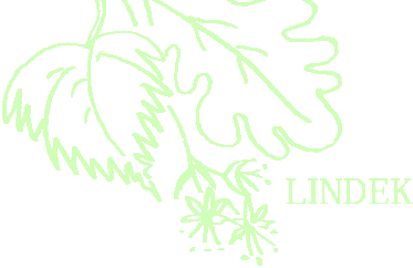 Lind Ekonomi i Norrtälje AB logotyp