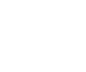 LEVA Nät AB logotyp