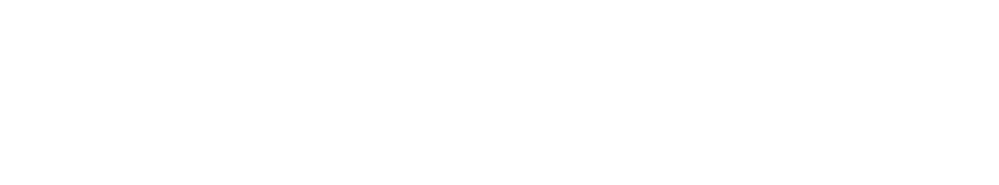 Svenska DataNätVerket Syd AB logotyp