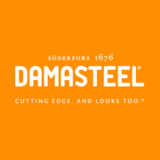 DAMASTEEL AB logotyp