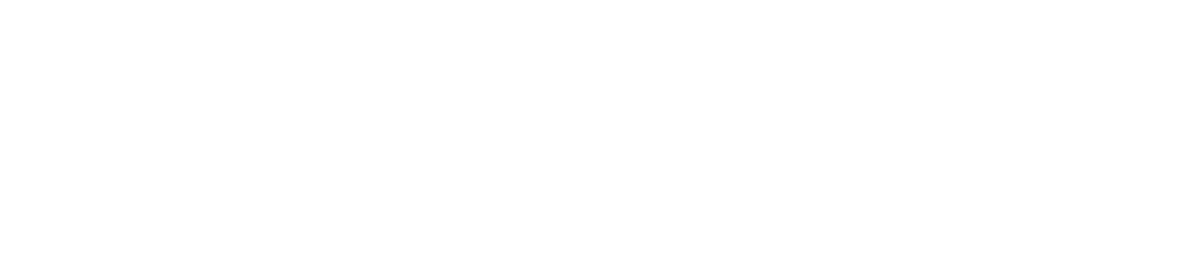 Ricardo Nordica Aktiebolag logotyp