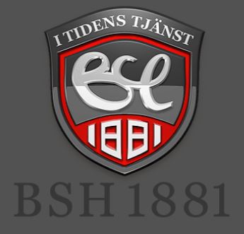 BSH & Co 1881 AB logotyp