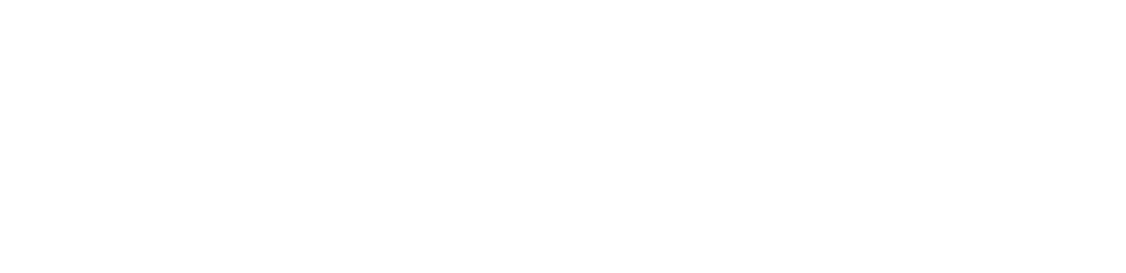 Carlsson & Partners Revisionsbyrå AB logotyp