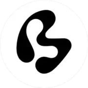 Big Image Systems International AB logotyp