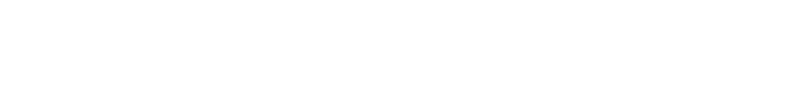 Brave Nordic AB logotyp