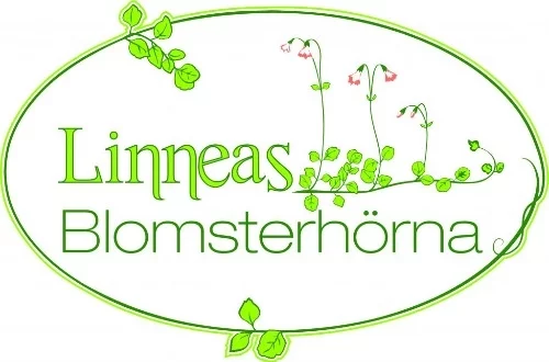 Linneas Blomsterhörna AB logotyp