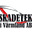Bilskadeteknik i Värmland AB logotyp
