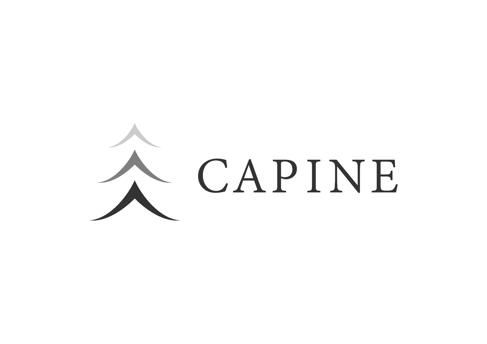 Capine Trading AB logotyp