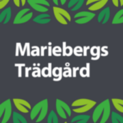 Mariebergs Trädgård AB logotyp