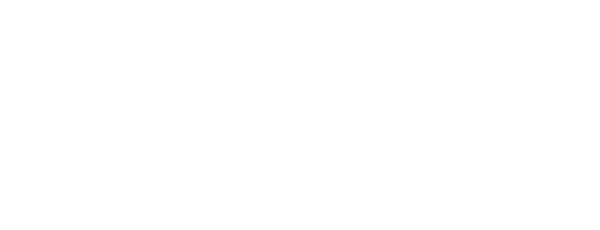 Palmé Light-Design Aktiebolag logotyp