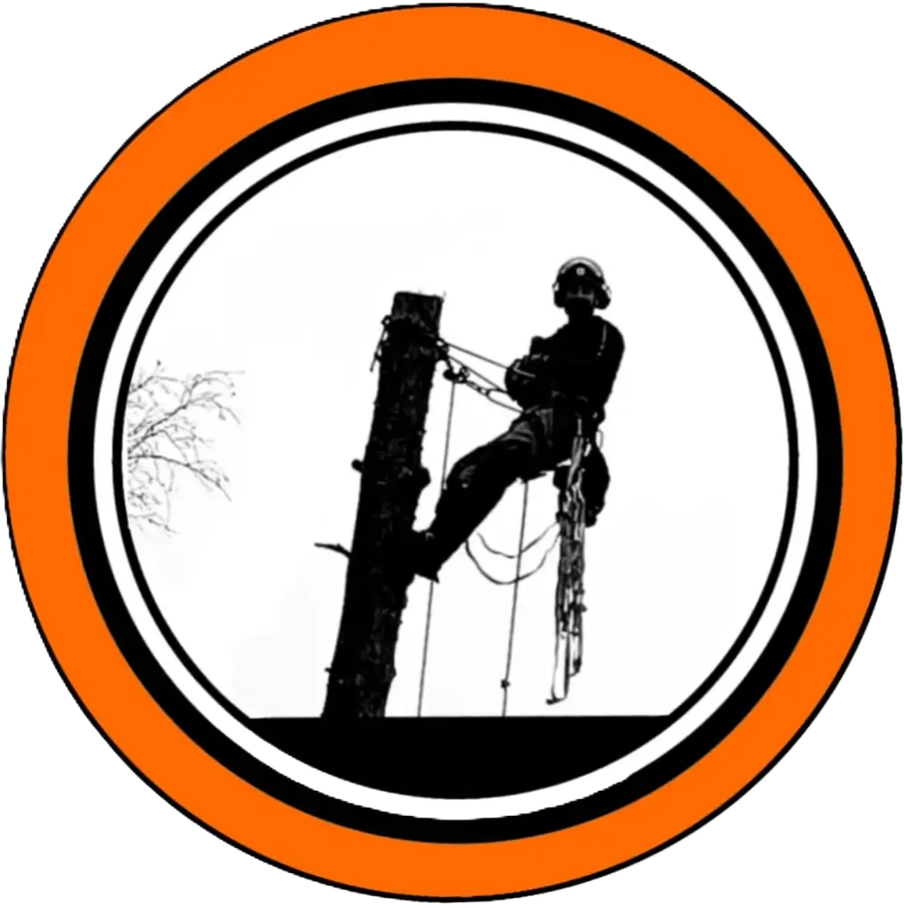Skogstorp Träd & Gård AB logotyp