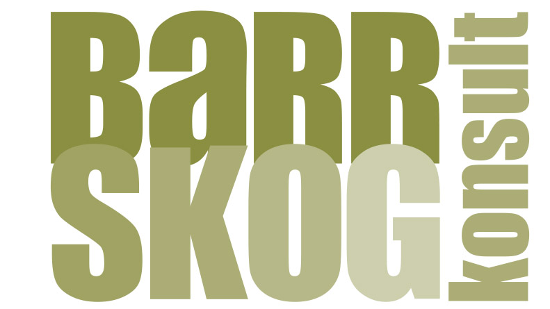 Barrskog Konsult AB logotyp
