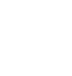 Prins Fastigheter AB logotyp